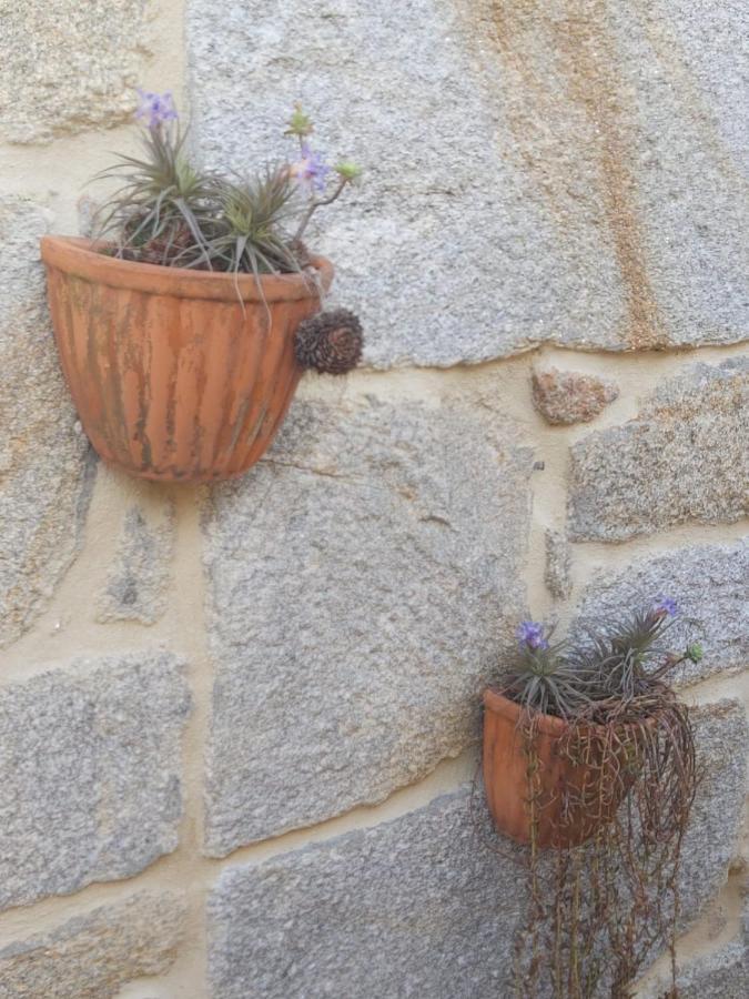 Vivienda Con Terraza En Playas De Baiona Daire Dış mekan fotoğraf